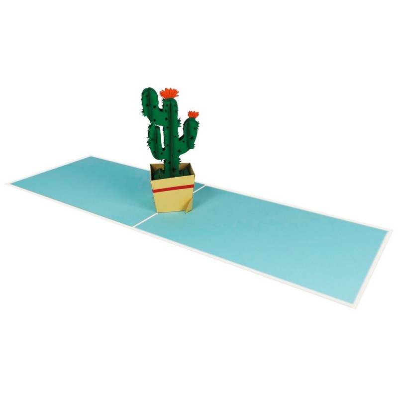 Cactus flower pop up card overview