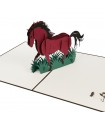Horse/Pony pop up card
