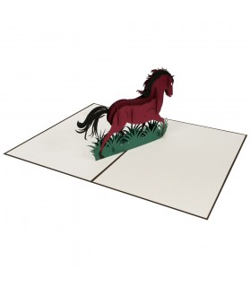 Pferd Pop Up Karte Überblick 2