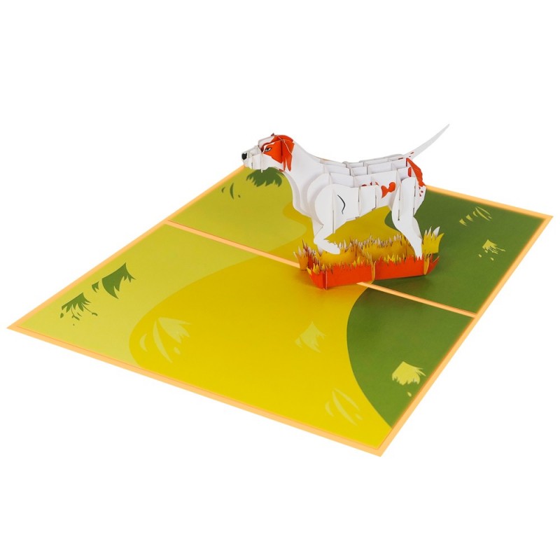 Dog pop up card overview 1