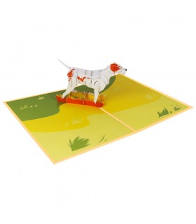 Dog pop up card overview 2