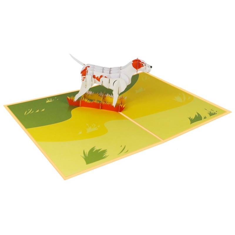 Dog pop up card overview 2