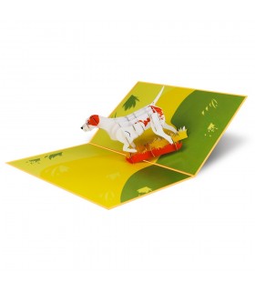 foldable dog pop up card