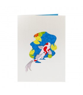 Koi fish pop up card cover