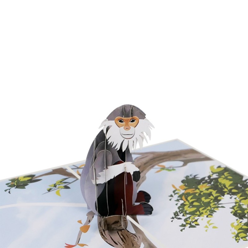 Monkey pop up card detail