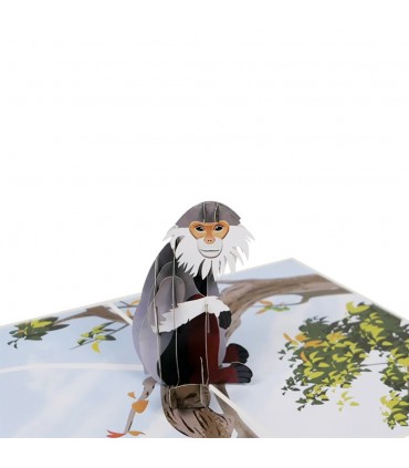 Monkey pop up card detail