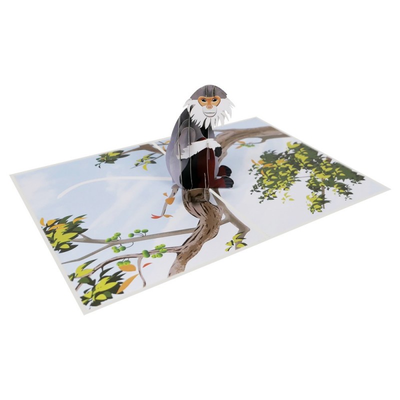 Monkey pop up card overview