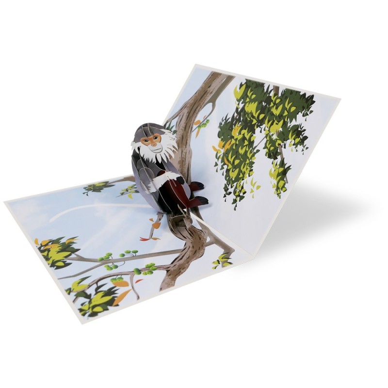 foldable monkey pop up card