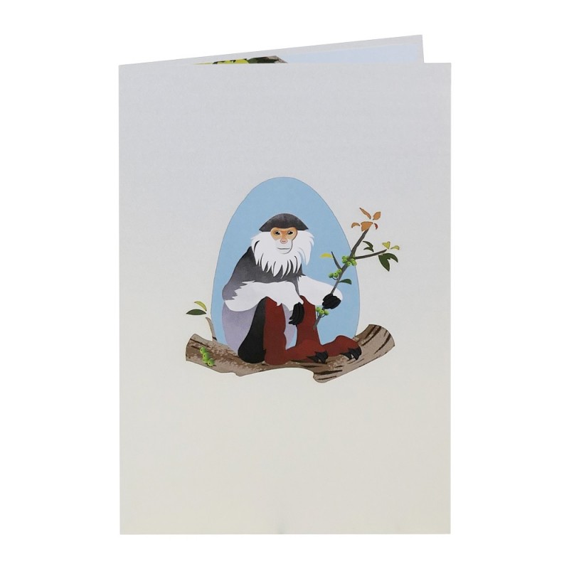 Monkey pop up card cover
