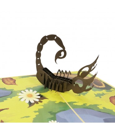 Scorpion pop up card detail