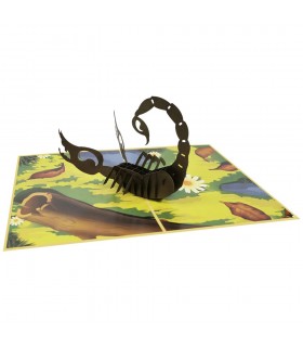Scorpion pop up card overview
