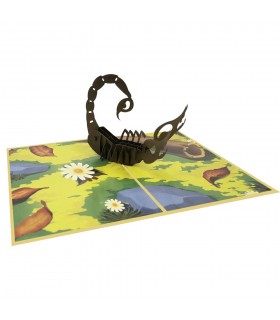 Scorpion pop up card overview