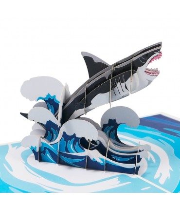 Shark pop up card detail