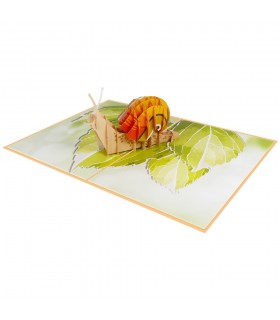 Snail pop up card overview