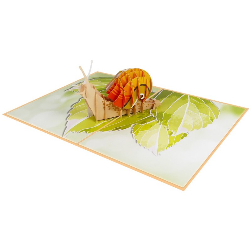 Snail pop up card overview