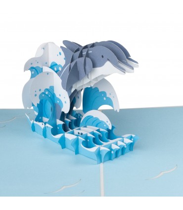 Dolphin pop up card