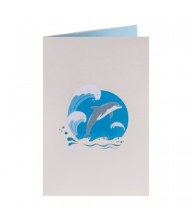 Dolphin pop up card
