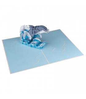 Dolphin pop up card