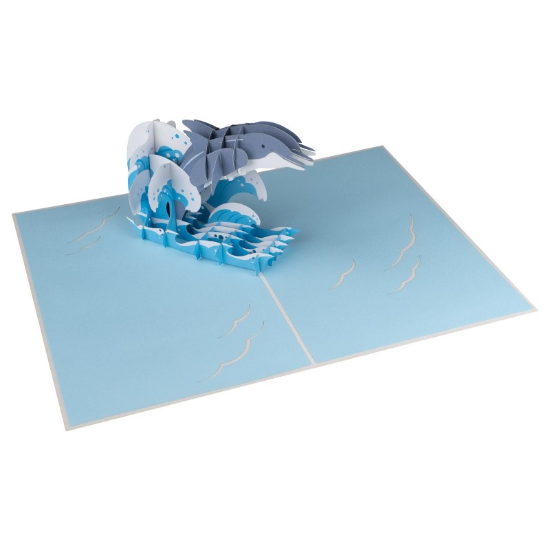 Dolphin pop up card