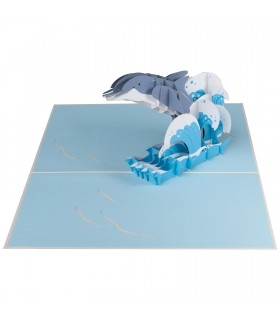 Dolphin pop up card