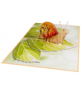 Snail pop up card overview