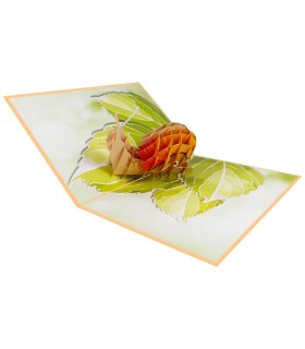 foldable Snail pop up card