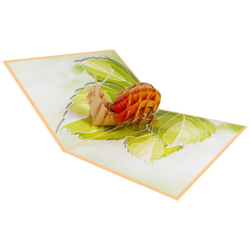 foldable Snail pop up card