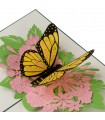 Butterfly pop up card