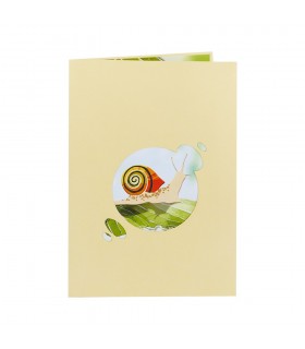 Snail pop up card cover