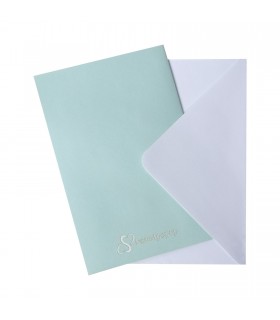 Paper Plane Pop Up Card