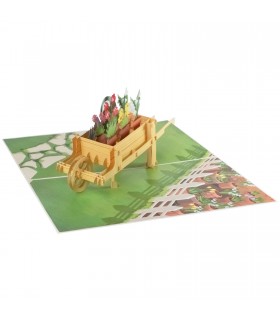 Flowers and Garden Pop Up Card