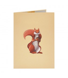 Squirrel pop up card