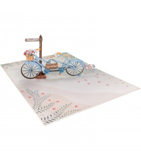 Wedding Bicycle Pop Up Card