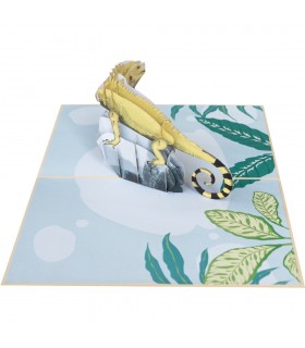 Chameleons Pop Up Card