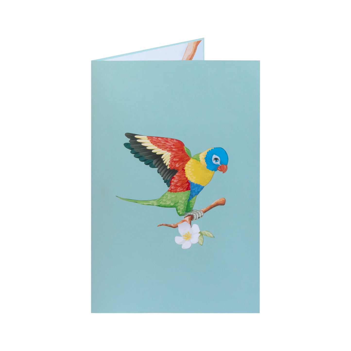 Vogel/Papagei Pop-Up Karte
