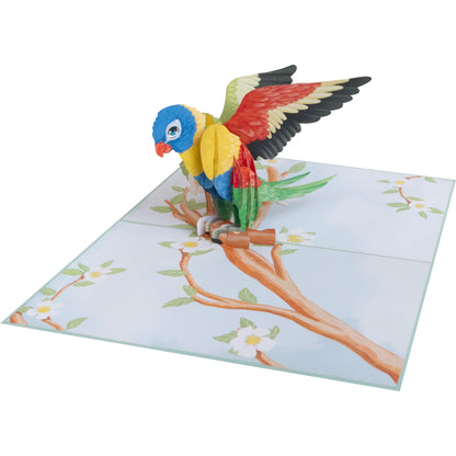 Vogel/Papagei Pop-Up Karte
