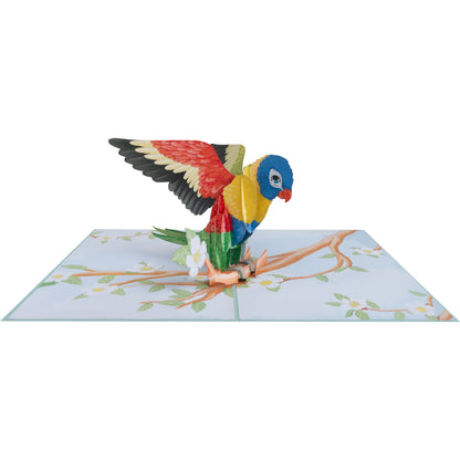 Vogel/Papagei Pop-Up Karte
