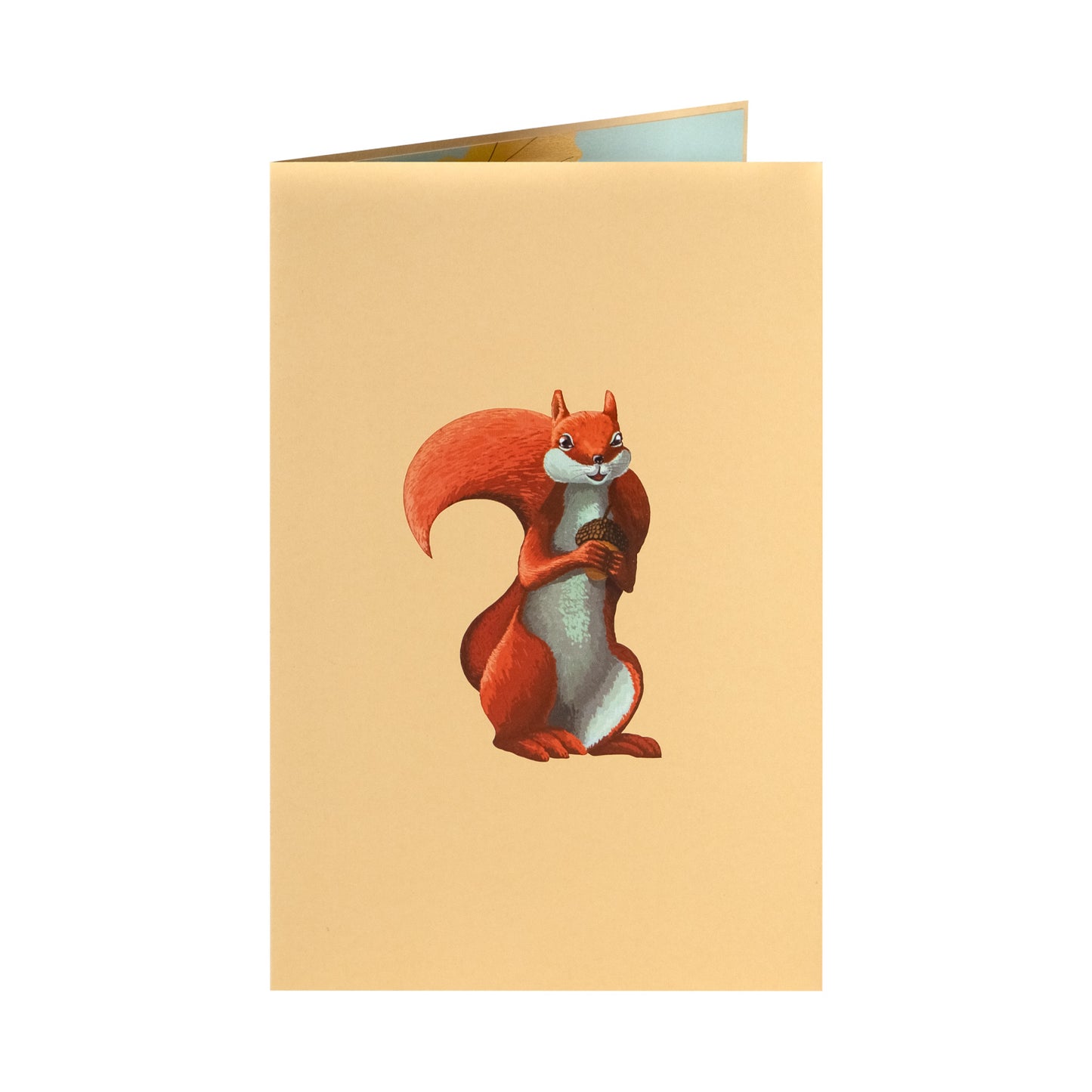 Eichhörnchen Pop-Up Karte