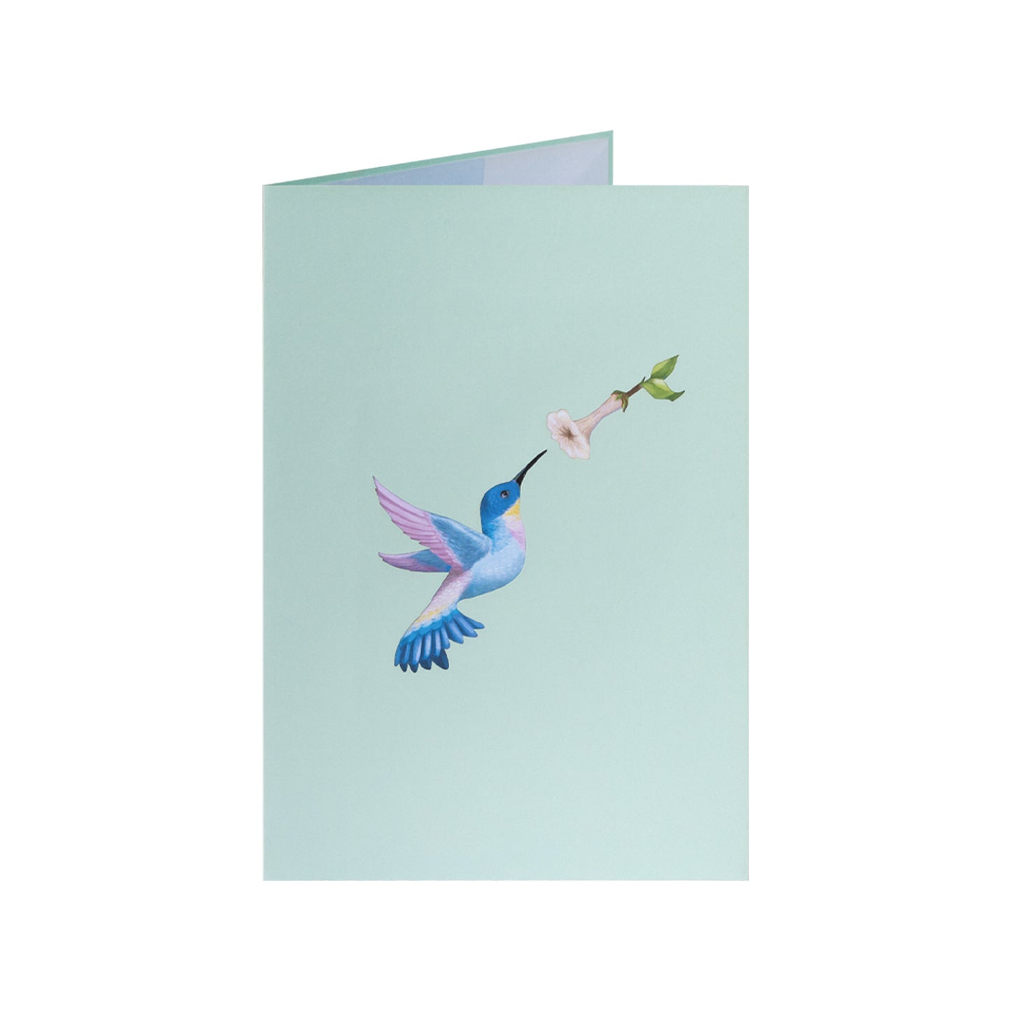 Kolibri Vogel Pop-Up Karte