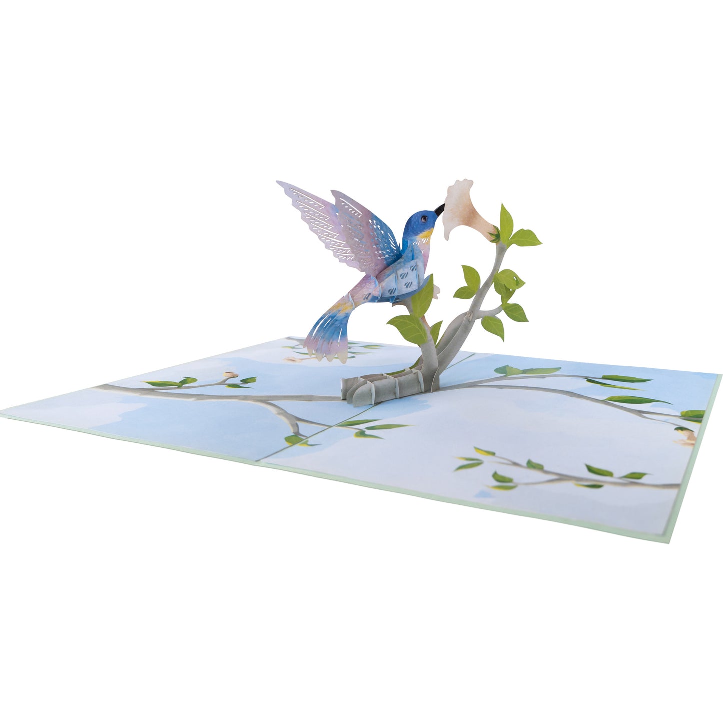 Kolibri Vogel Pop-Up Karte