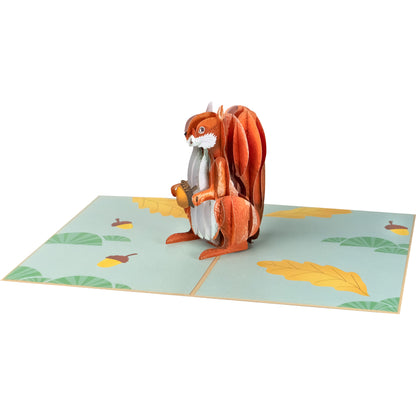 Eichhörnchen Pop-Up Karte