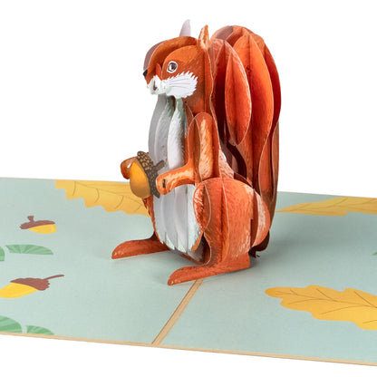 Eichhörnchen Pop-Up Karte