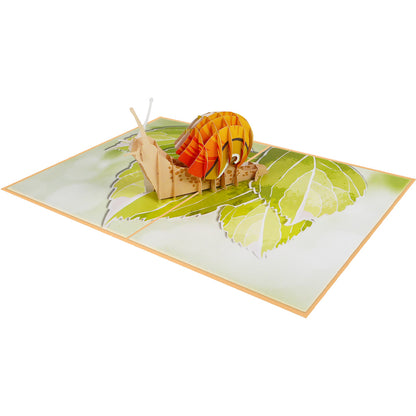 Schnecke Pop-Up Karte