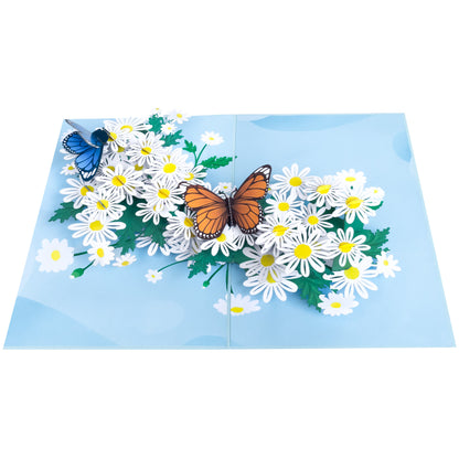 Schmetterlinge & Gänseblümchen Pop-Up Karte