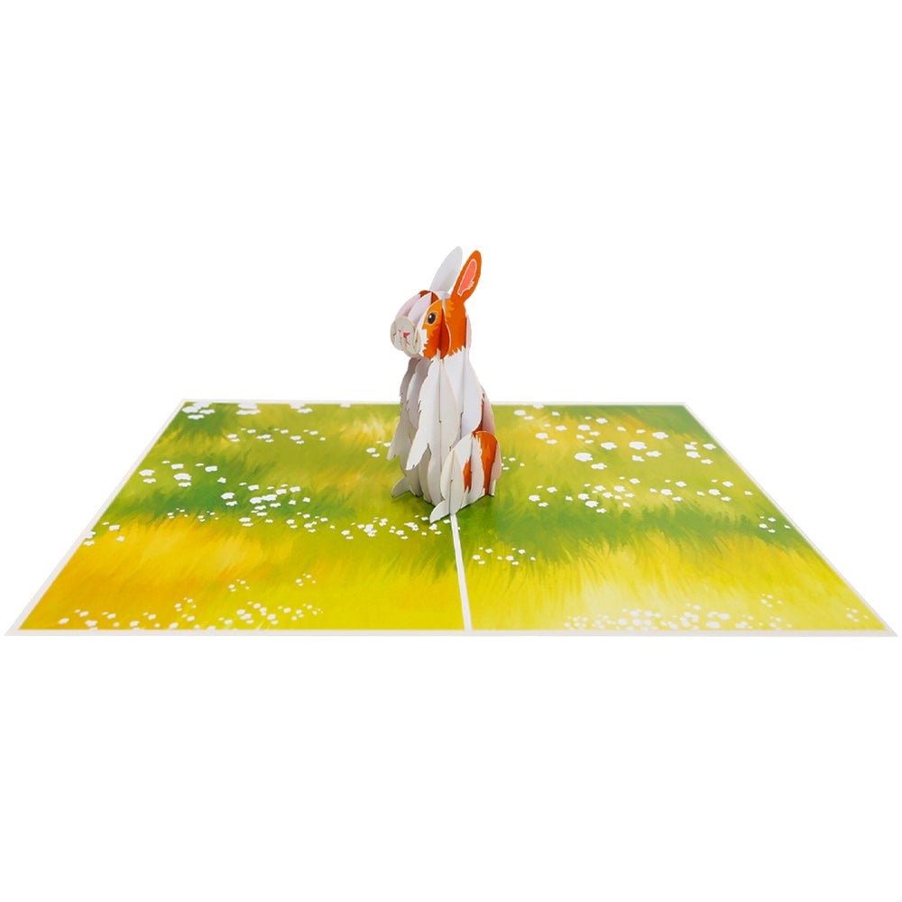 Hase Pop-Up Karte