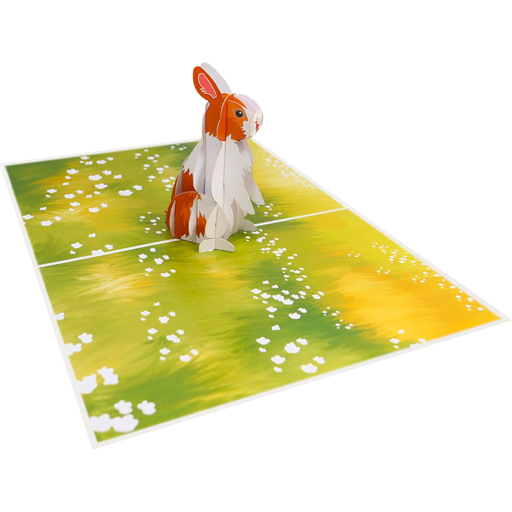 Hase Pop-Up Karte