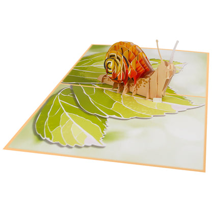 Schnecke Pop-Up Karte