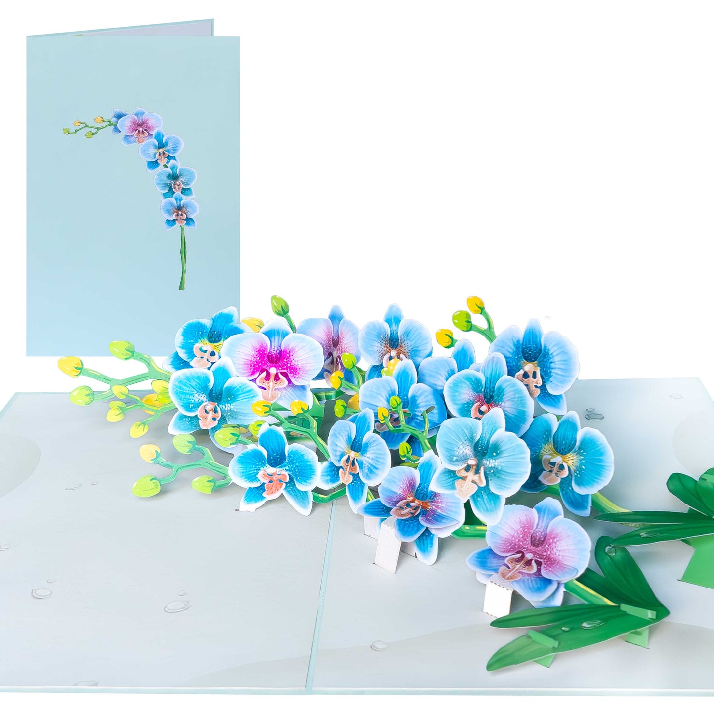 Orchideenzweig Pop-Up Karte
