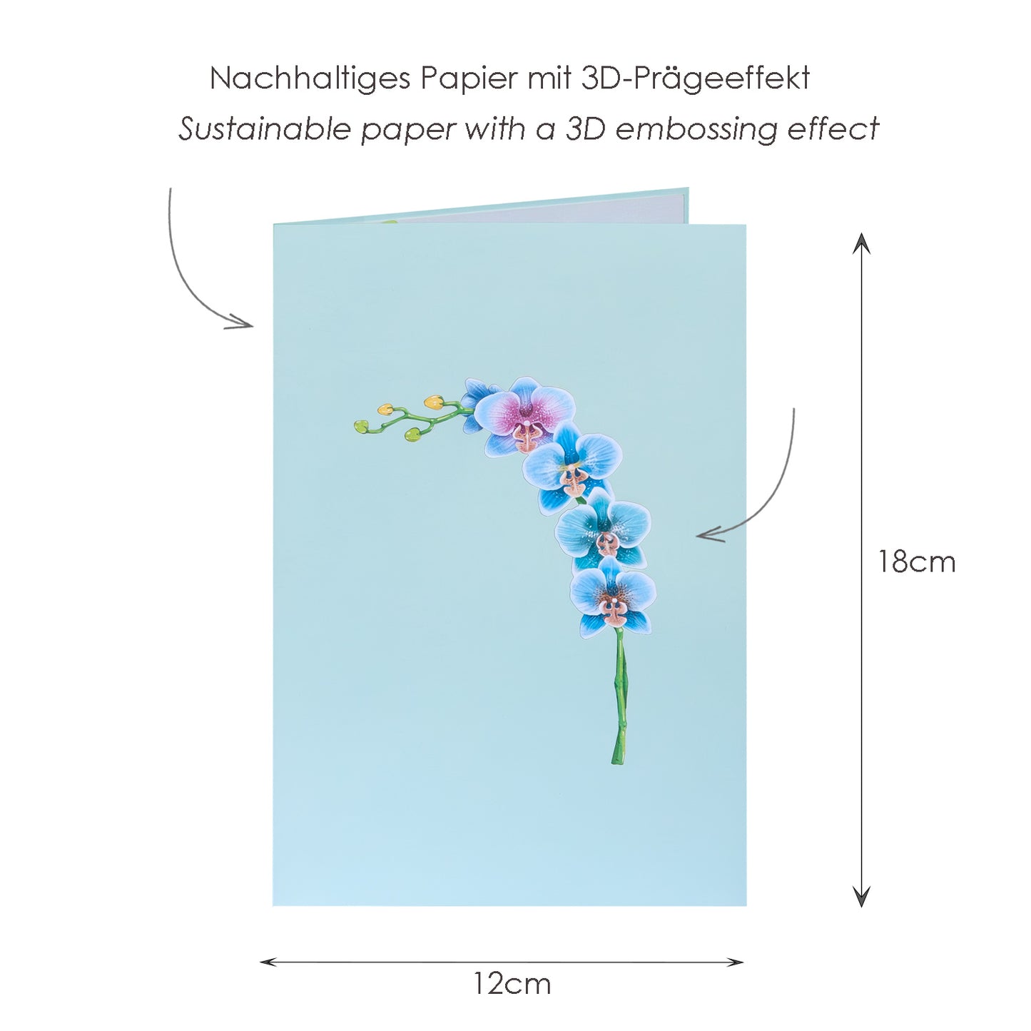 Orchideenzweig Pop-Up Karte