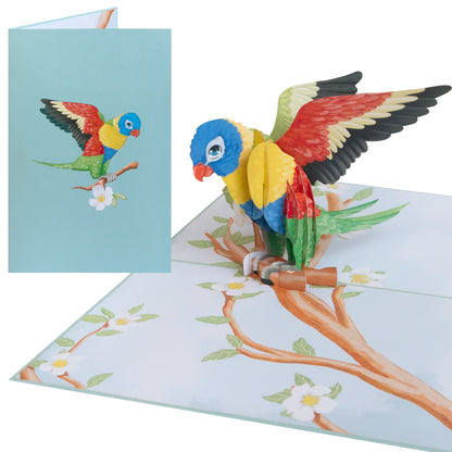 Vogel/Papagei Pop-Up Karte
